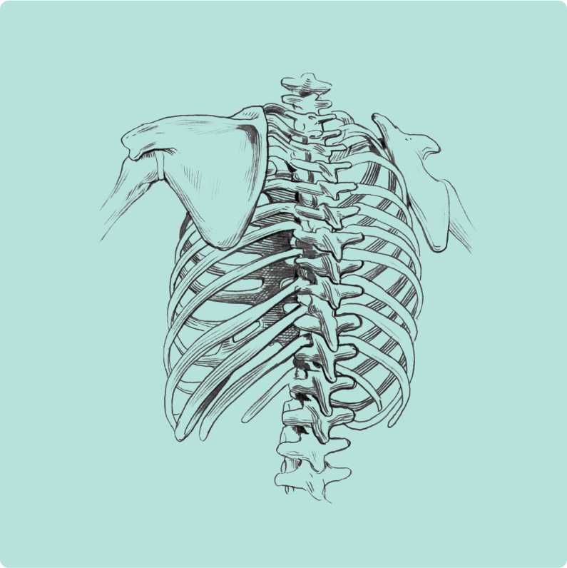 Picture of the Spine Injuries program